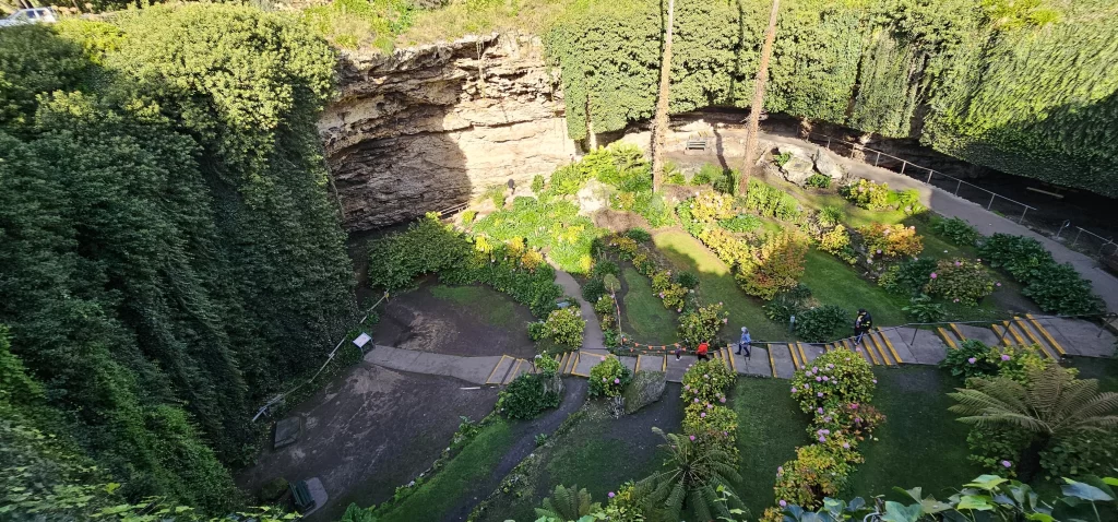 a group of people walking down a path in a garden