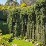 Mount Gambier Property Investment