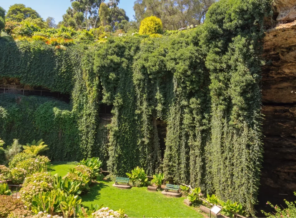 Mount Gambier Property Investment