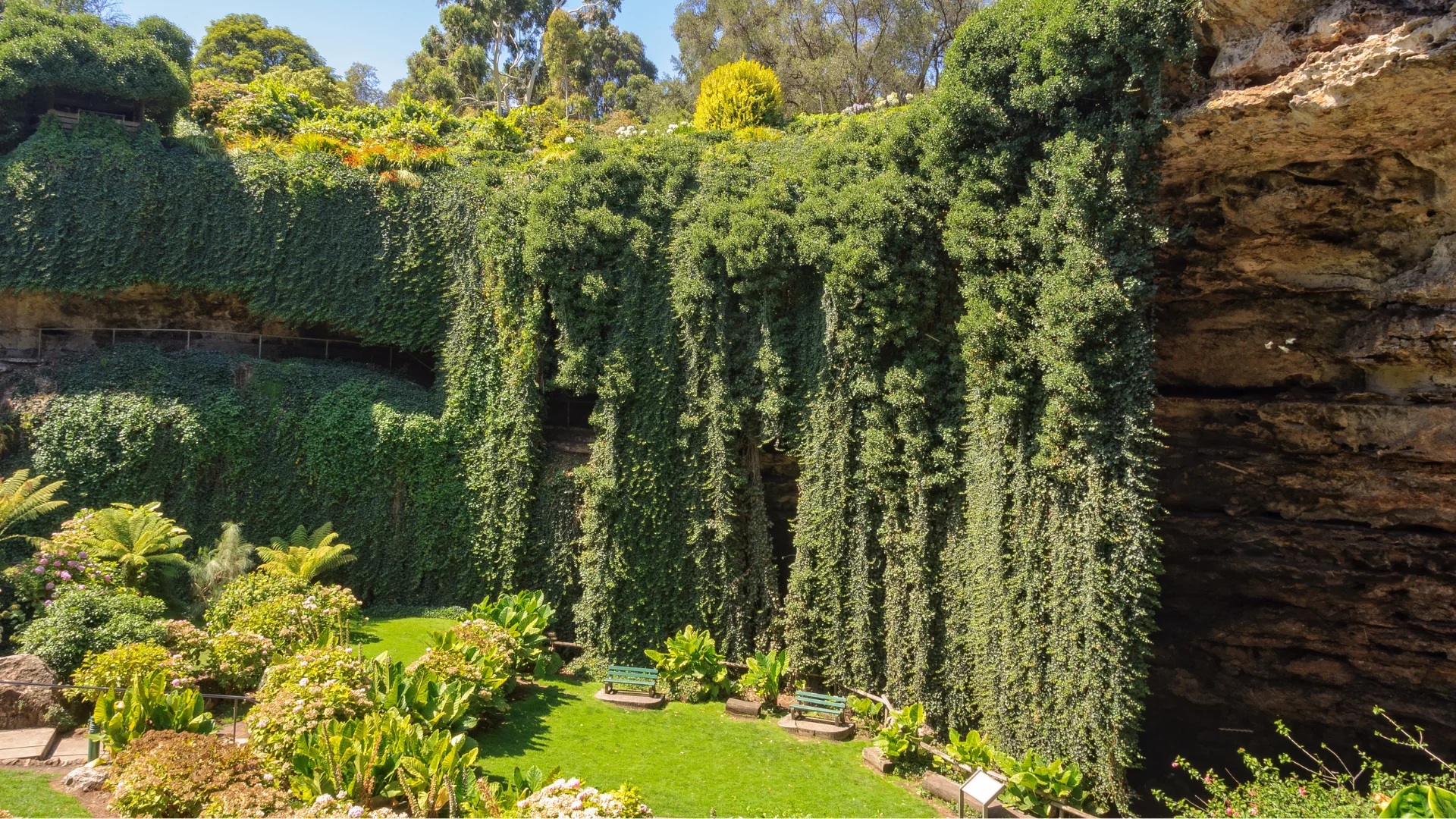 Mount Gambier Property Investment